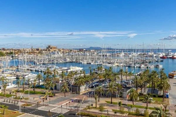 Exclusive apartment on the Paseo Marítimo, opposite Palma's marina — photo 1