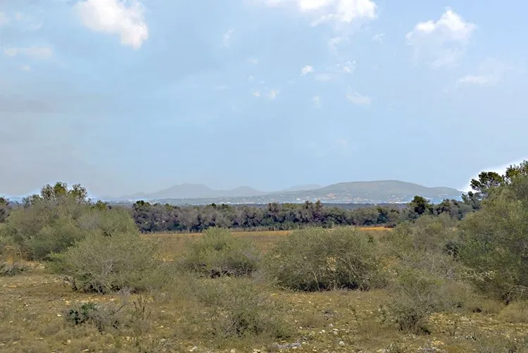 Santanyi, very large finca property G02968 — photo 1