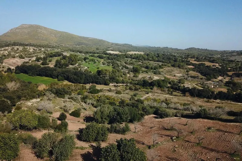 V585 – Exclusive plot with old finca to renovate between Sant Llorenç and Artà — photo 4