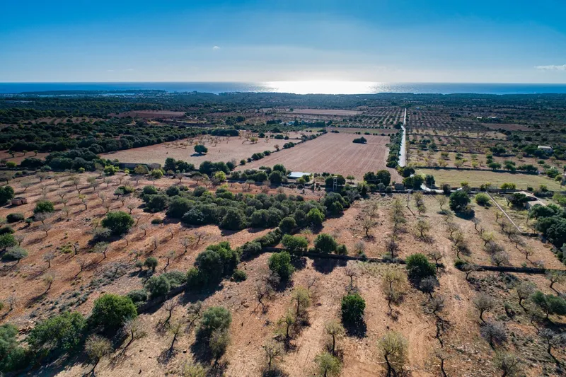 Buildable plot near S'Horta with approved finca project and sea views — photo 1