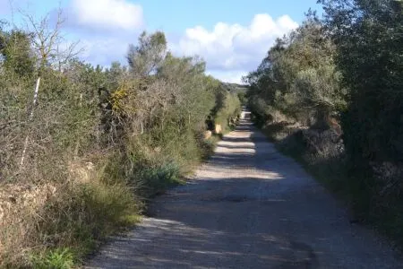 Rustic property - Manacor (Afueras), Built Surface 10m², Plot Surface 42985m² — photo 10