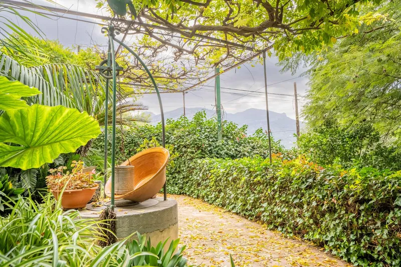 Dream Property in Sóller — photo 4