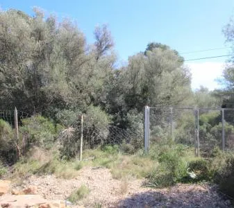 Rustic land - Llucmajor (Cala Pi-Vallgornera), plot surface 100,158 m², distance to the sea 3 km — photo 3