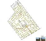 Country plot for sale in Selva — photo 4