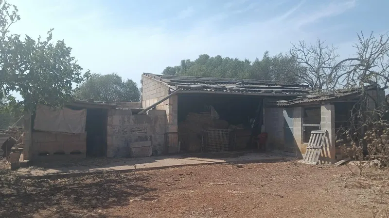Rustic Land — photo 8