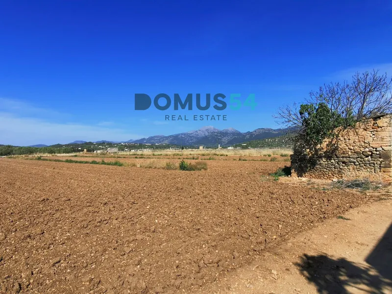plot in Buger — photo 7