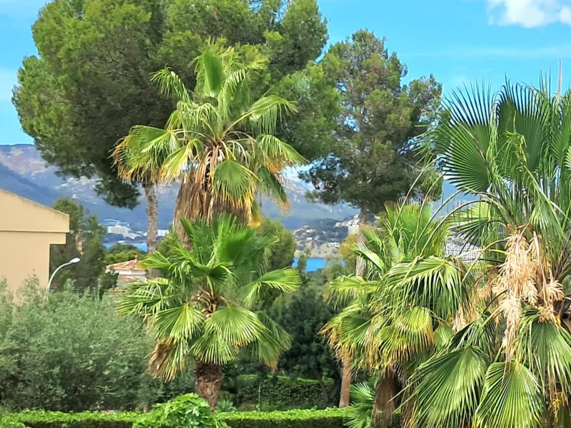 Mediterranean house in luxury area in Santa Ponsa — photo 3