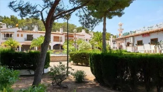 Business Premise - Calvià (Costa de la Calma), Built Surface 105m², Distance to the Sea 1.5 Km — photo 4