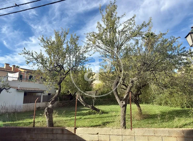 Land in Calvià, Province of Balearic Islands — photo 4