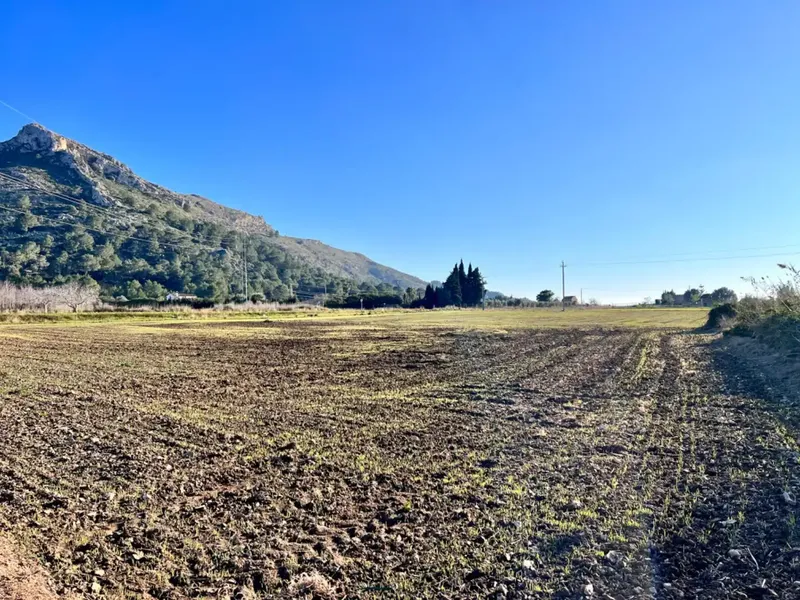 Rustic estate in Alcudia, with an area of approximately 23,000 m2, possibilities to build a detached single-family home and — photo 5