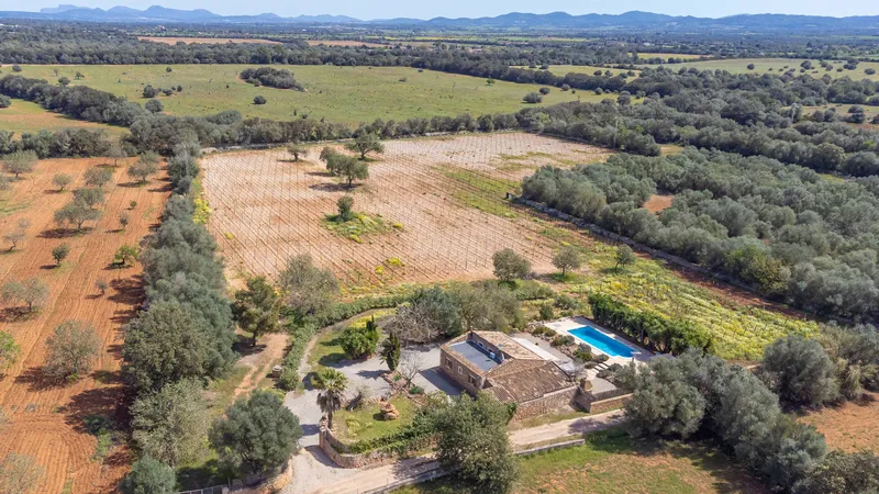 Finca in Porreres for sale with vacation rental license and lots of privacy — photo 3