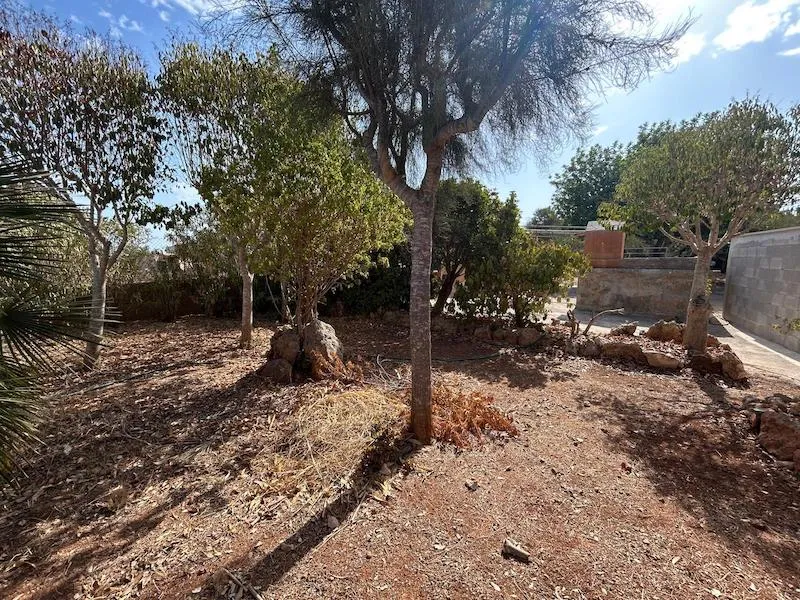 Habitat Sóller Real Estate - Listing — photo 11