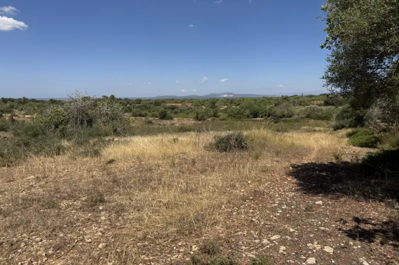 Dream plot with basic project and mountain views near Es Carritxo — T 20 — photo 1