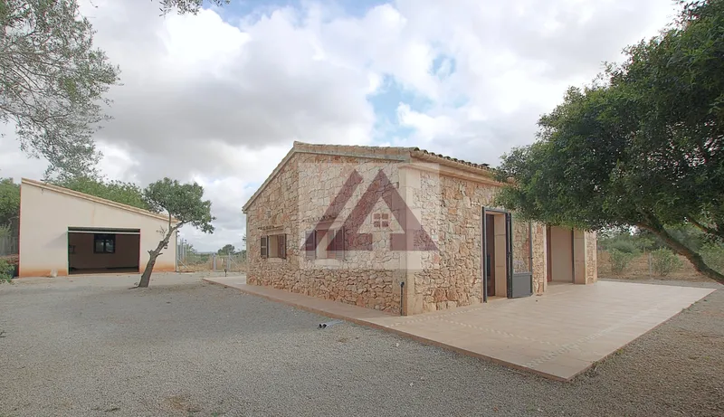 Country house for rent Ses Salines — photo 2