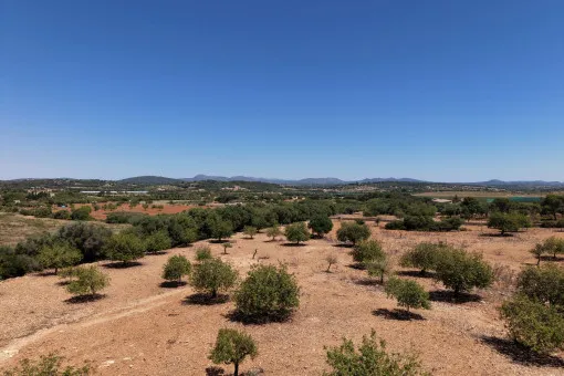 Cala Mandia, Beautiful Plot with Stunning Panoramic Views and Project near Cala Mandia — photo 7