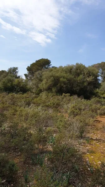 Lovely Huge Plot with Possibility to Build a 290 sqm House — photo 2