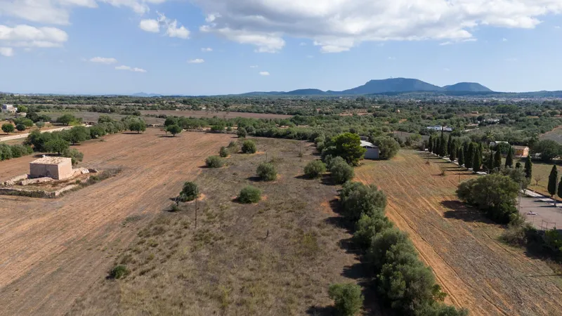 Rustic plot in Algaida — photo 7