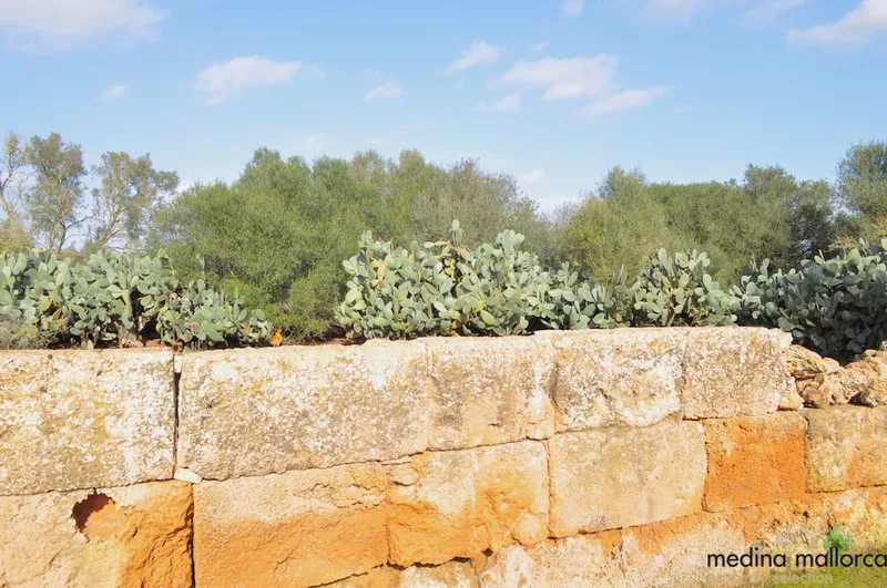 Historic finca for renovation in Llucmajor — photo 11