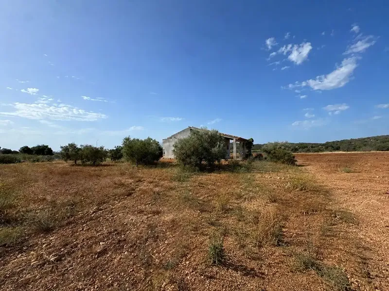 Agricultural estate near Campanet in a privileged natural setting — photo 11