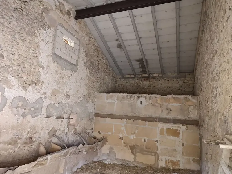 Rustic estate for sale in the municipality of Petra, Son Maimo area, known as Son Metlet — photo 4