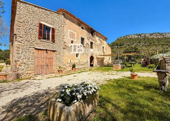 Detached house in Calle sa Riera, Puigpunyent — photo 2