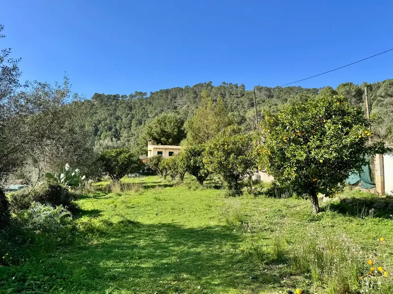 Rustic country property in a prime location in the mountains of Sa Coma, a very peaceful and welcoming village in the municipality of Andratx — photo 2