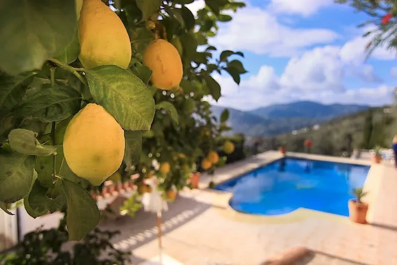 Cortijo El Niño — photo 1