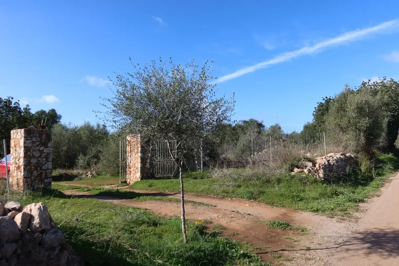 Buildable plot with great privacy in Campos – 14,625 m² — photo 9