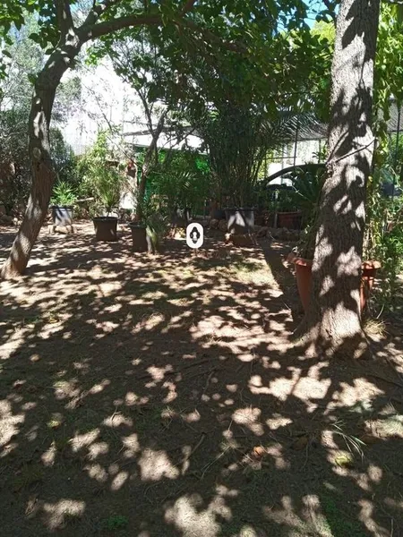 Land in Calvià, Province of Balearic Islands — photo 5