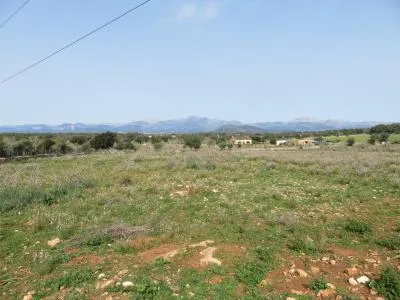 Rural land - Sineu (Llubi), plot surface 17000 m² — photo 7