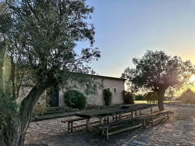 Finca/Country House for rent in Son Macia, Manacor, Mallorca — photo 7