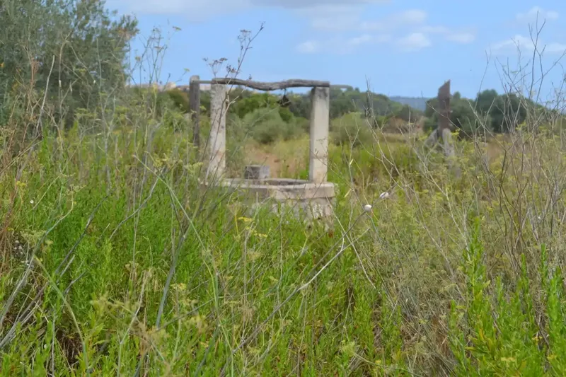 In Campanet, finca of about 14,270 m2 of land, completely fenced, with several water wells, town water and Gesa electricity. Views to — photo 10