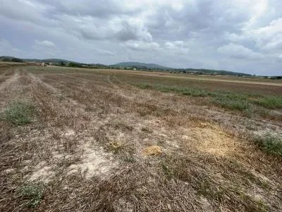 Rural Land - Sant Joan (Centro), Plot Surface 17056m² — photo 12