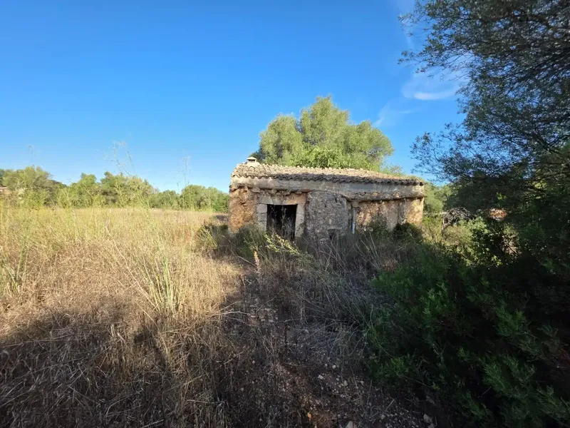Rustic estate in Costitx — photo 10