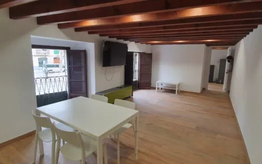 Renovated 4 bedroom apartment in Old Town, Plaza Quadrados – for sale — photo 1