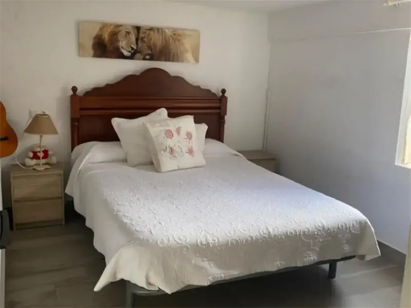 Se vende finca con casa de 150m2 dividida en dos plantas. En la planta de abajo se encuentra un pequeño salon, un baño, tres dormitorios, un — photo 10