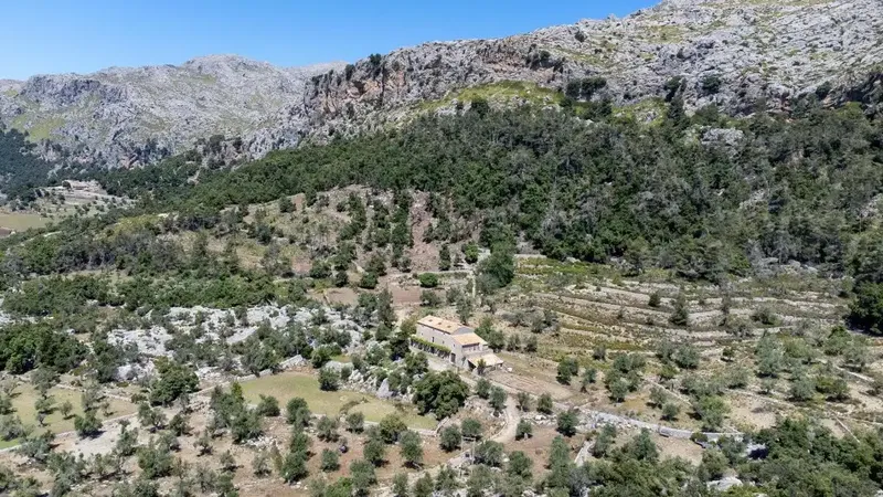 Charming rustic finca for sale in an idyllic setting between Pollensa and Lluc — photo 10