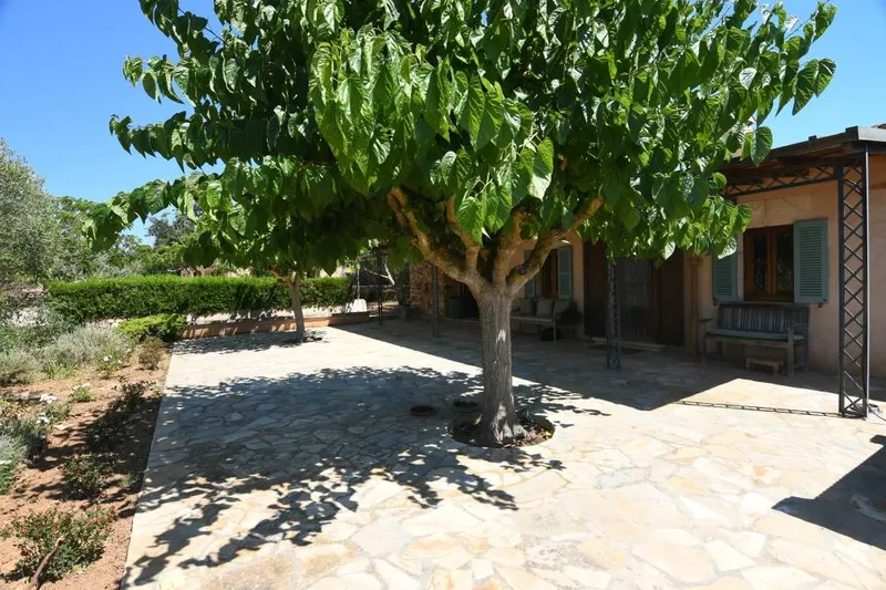 Practical and modern renovated country house in one of the best areas of Santanyi — photo 4