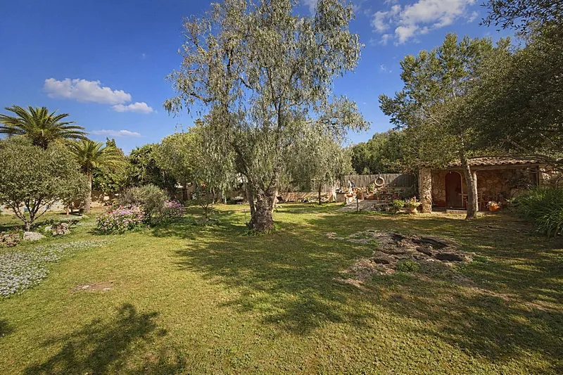 Authentic finca with potential and wonderful garden in quiet location in Cala Llombards — photo 4