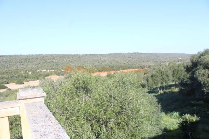Fantastic house for sale with guest apartment between Manacor and Alcudia — photo 8