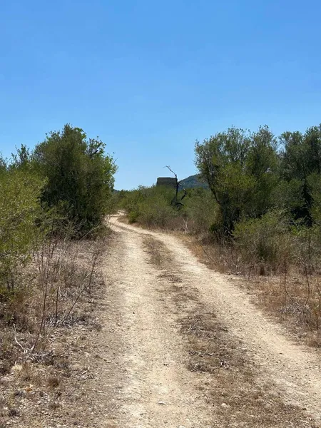 Beautiful building plot near Manacor — photo 8