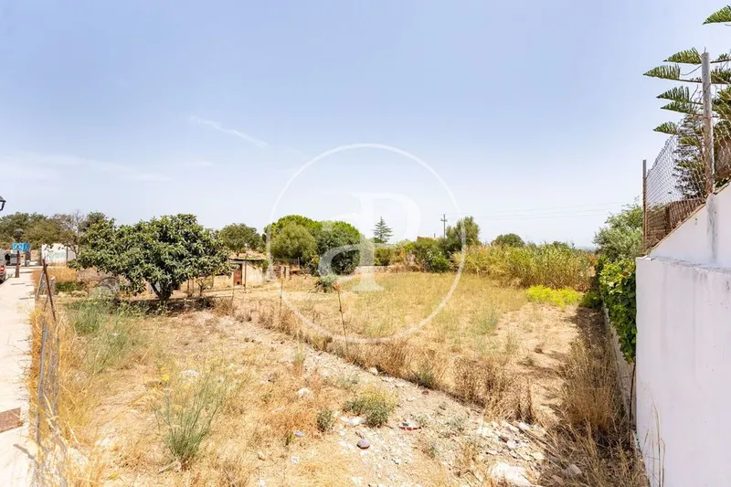 Land in Binissalem, Province of Balearic Islands — photo 7