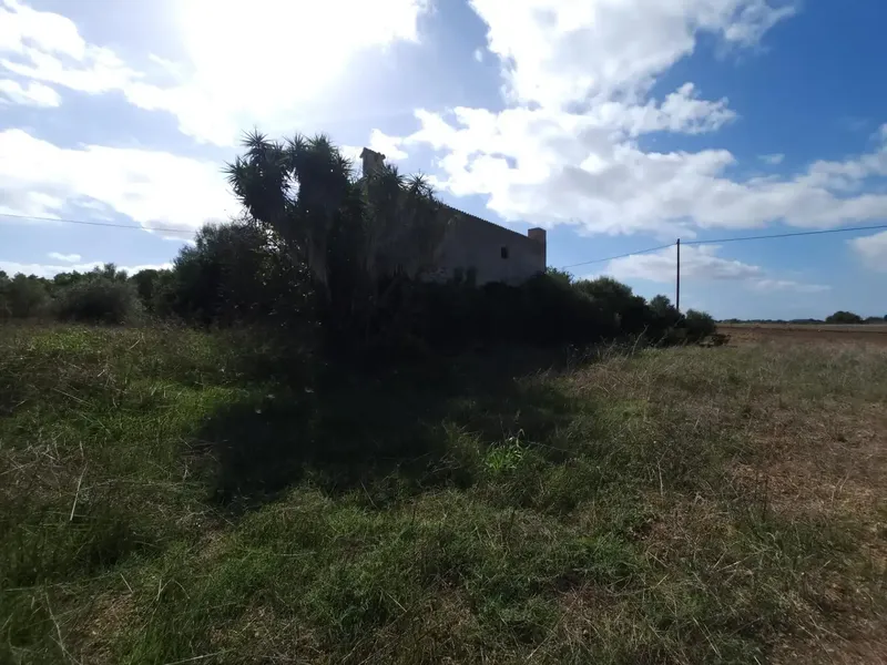 Opportunity: Rustic estate with agricultural building under construction near the beach — photo 5