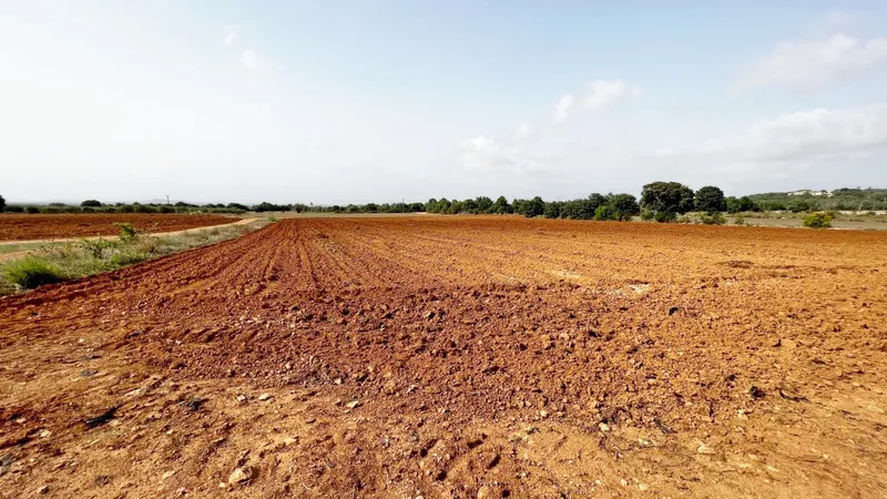 Finca to be rebuilt for sale in Felanitx Pueblo — photo 6