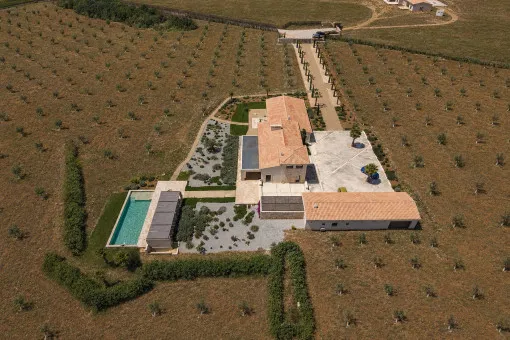 Sa Rapita, luxury finca with pool & olive grove – ready-to-move-in new build near Es Trenc and Sa Ràpita — photo 10