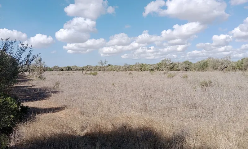 Rustic Land near Campos — photo 4