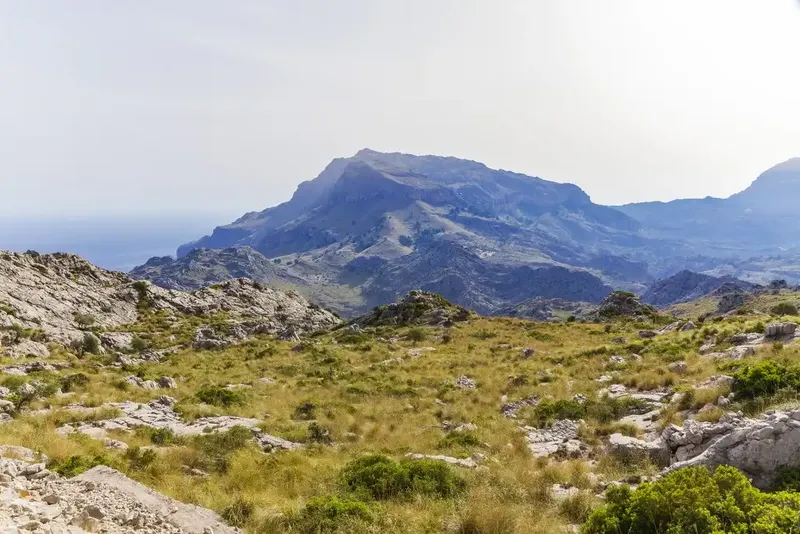 Acquiring this property is owning an authentic part of Mallorca - located in one of the most isolated areas of the Tramuntana, just after — photo 12