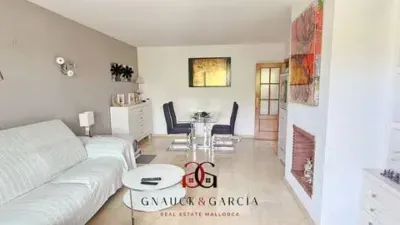 Apartment in La Teulera — photo 6