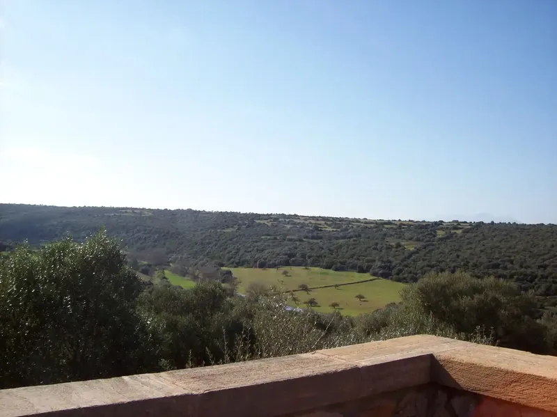 Unique opportunity in Manacor! Renovated hostel with 10 bedrooms, 8 bathrooms, garden, heated pool, tennis court and more — photo 12