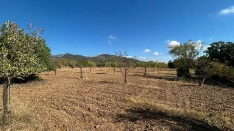 Terreno — photo 9